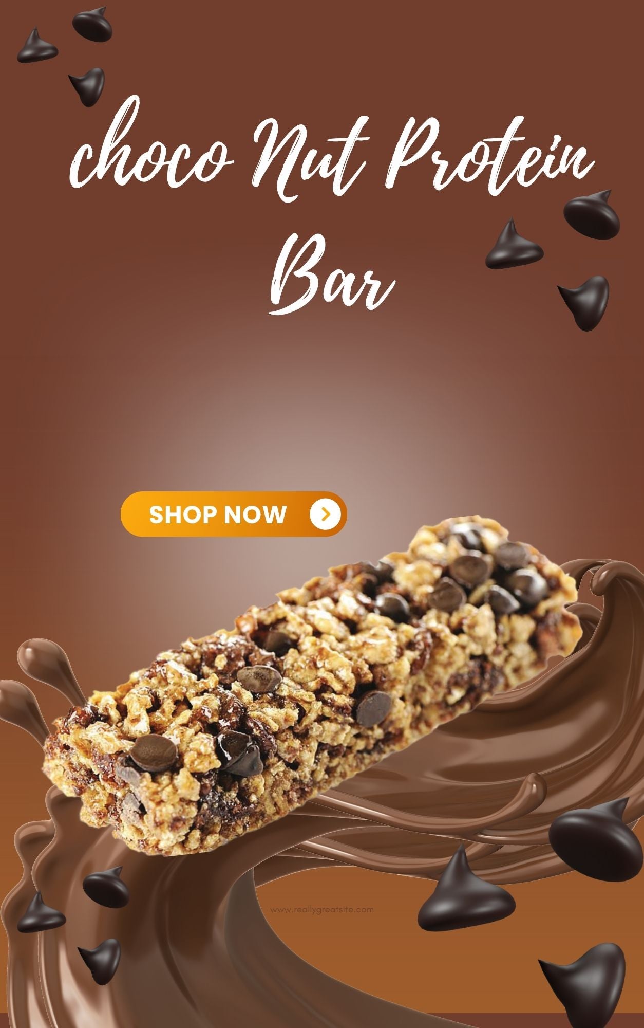 Choco Nut Protein Bar